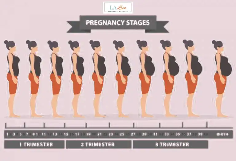 First Trimester (Weeks 1–12): Early Changes You Might Not Notice Waltham Forest